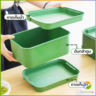 กล่องเพาะถั่วงอก ถาดเพาะต้นอ่อน ไม่ต้องใช้ดิน นำกลับมาใช้ใหม่ได้ 1ชุด bean sprouts tray