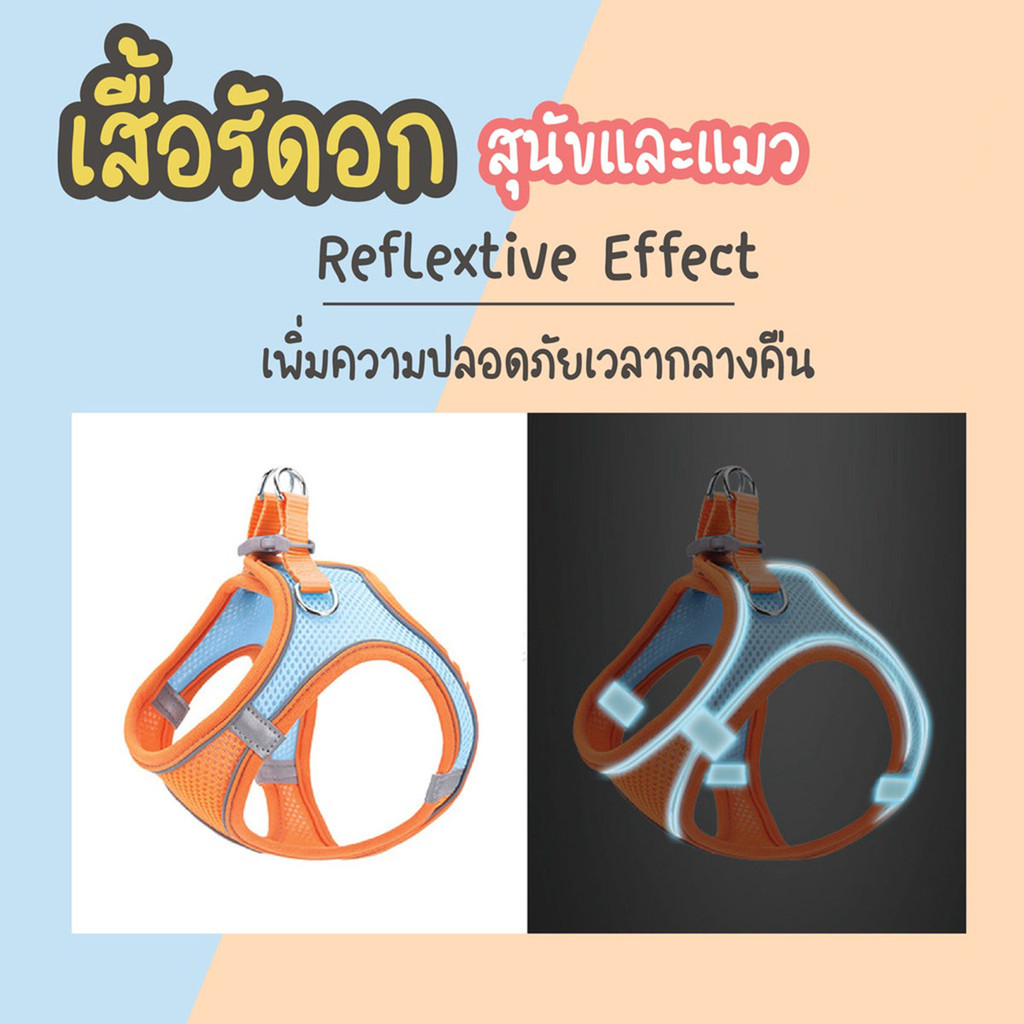 สายจูงแมวรัดอก จูงหมา สําหรับสัตว์เลี้ยง สุนัข กระต่าย รูปที่ 6