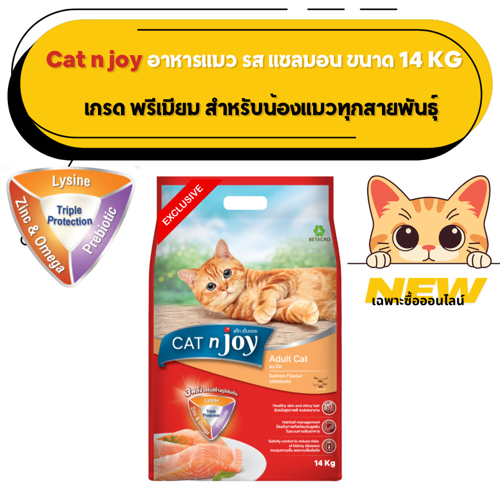 CAT n joy TPP แมวโต รสแซลมอน 14 kg