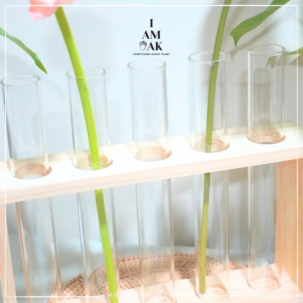 มุมมอง 2