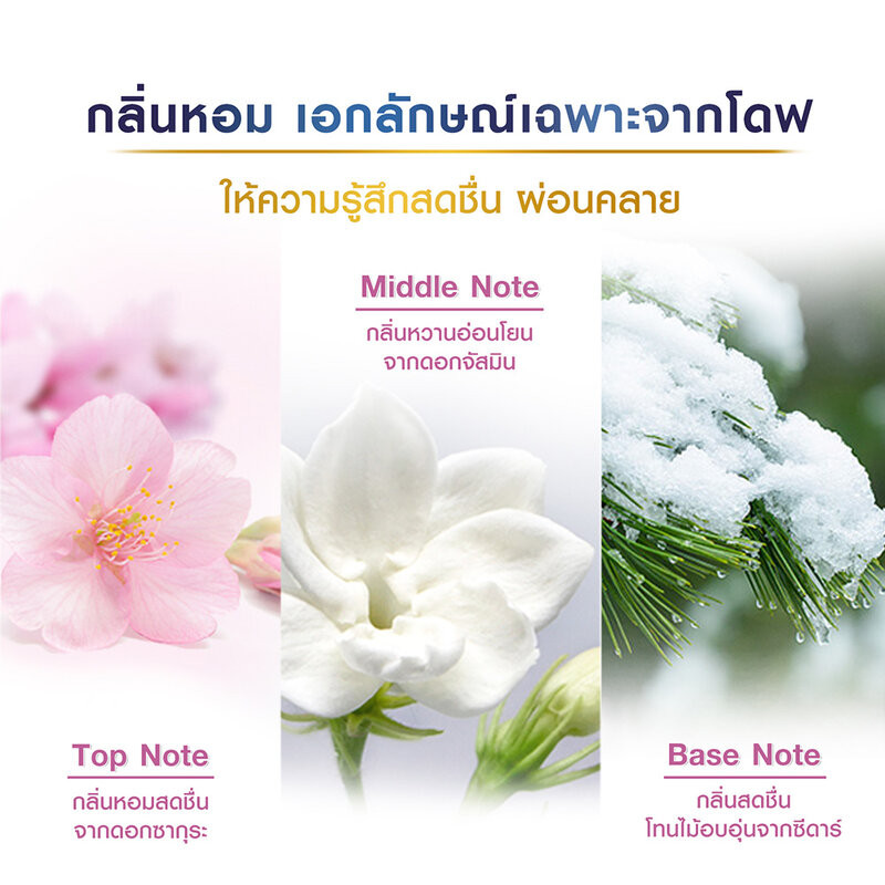 Dove Body Scrub โดฟ บอดี้สครับ 280g (Sakura/Pomegranate/Sugar Coconut) รูปที่ 6
