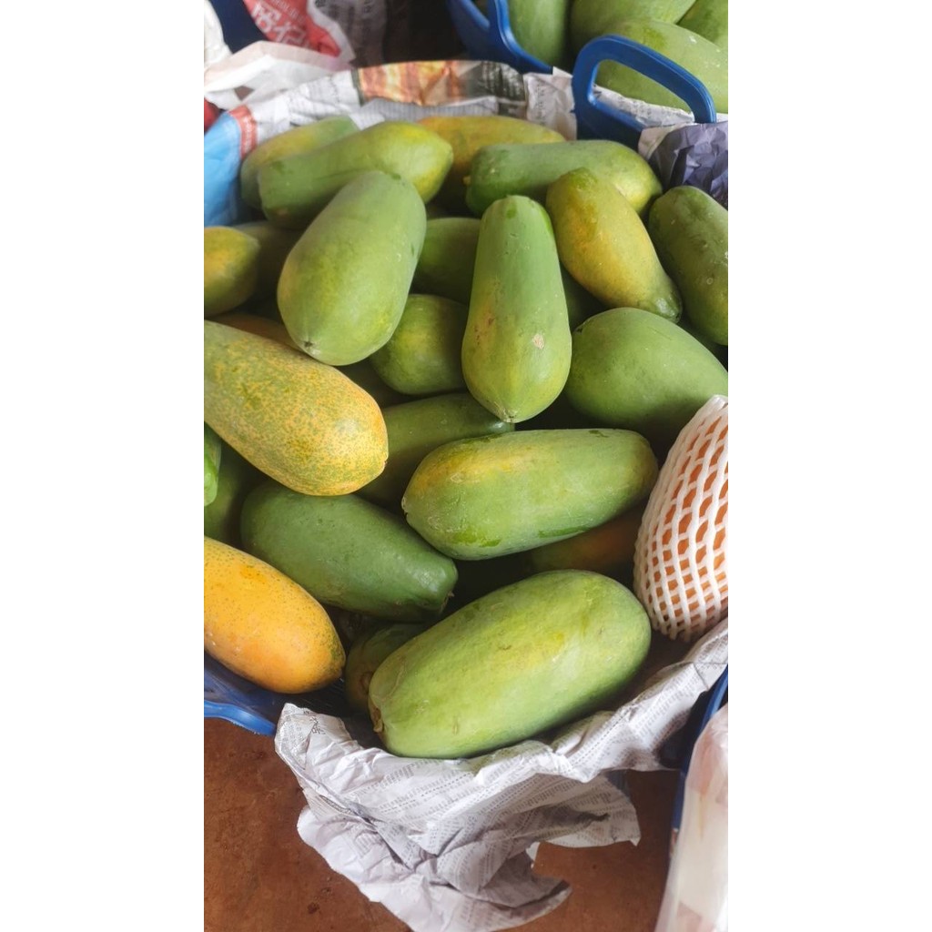 มุมมอง 2