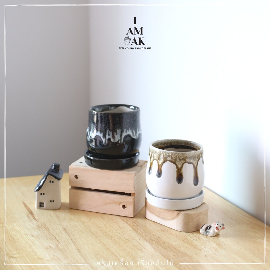 มุมมอง 2