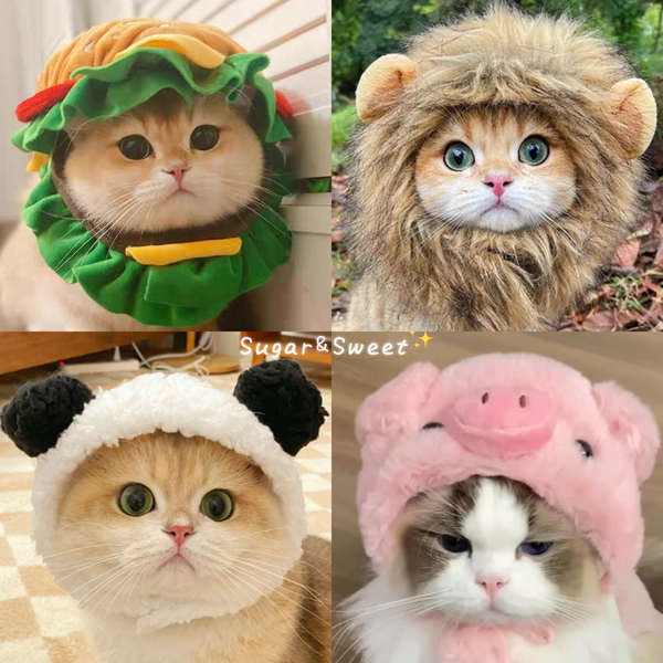 Influencer Pet Cat Dog Rabbit Ears Lion Headgear Rabbit Cat Cat Hat Cute Burger Headgear Dress Up