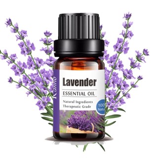 Aliztar 100% Pure Lavender Essential Oil 10 ml. น้ำมันหอมระเ…