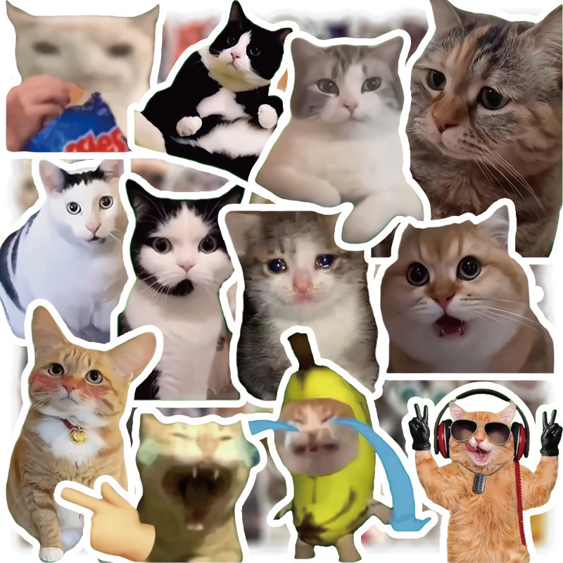 [Meow.Sensei] 300 ชิ้น Cat meme สติกเกอร์น่ารักตลก Ghost สัตว์แมว ins สไตล์ Emoticon Pack Stem แผนที่วัสดุคู่มือสติกเกอร์
