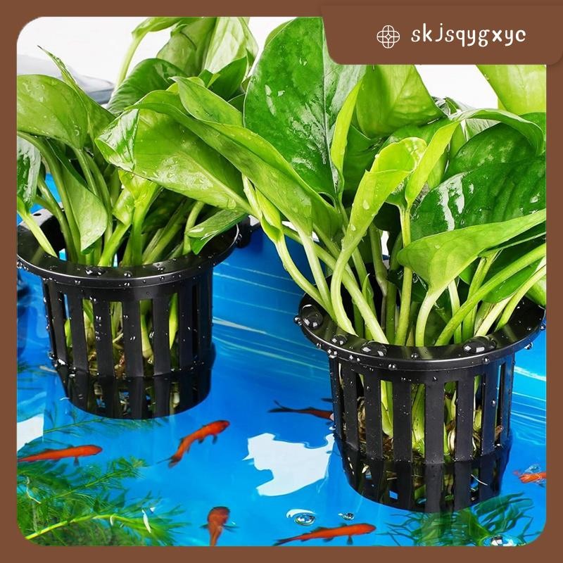 skjsqygxyc2 Pk Aquarium ผู้ถือพืชแขวน Aquarium ผู้ถือพืชพร้อมคลิป, เหมาะสําหรับกระถางต้นไม้ตู้ปลา