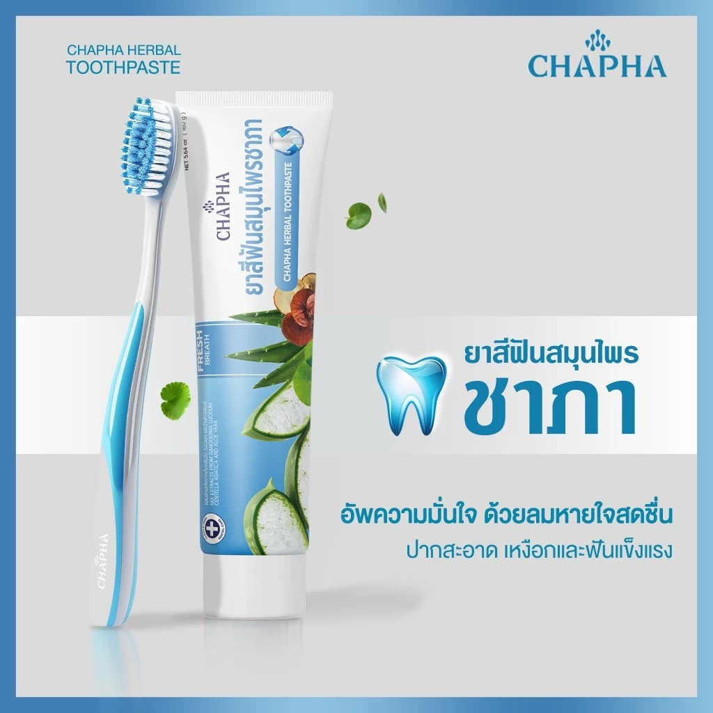 ยาสีฟันสมุนไพร มาเด้อภูเวียง & ชาภากรุ๊ป ผสมสารสกัดจากว่านหางจระเข้ เห็ดหลินจือ และใบบัวบก 150 กรัม