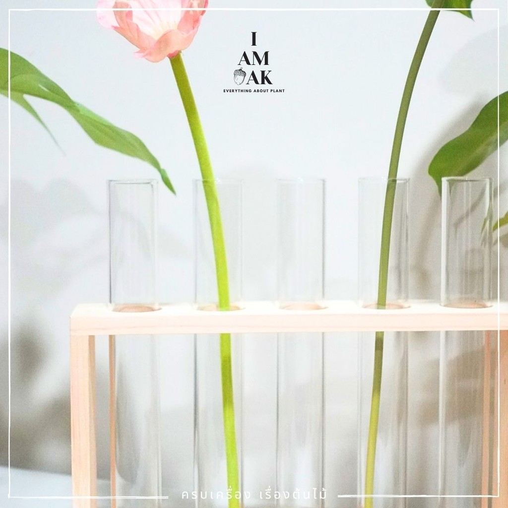 มุมมอง 3