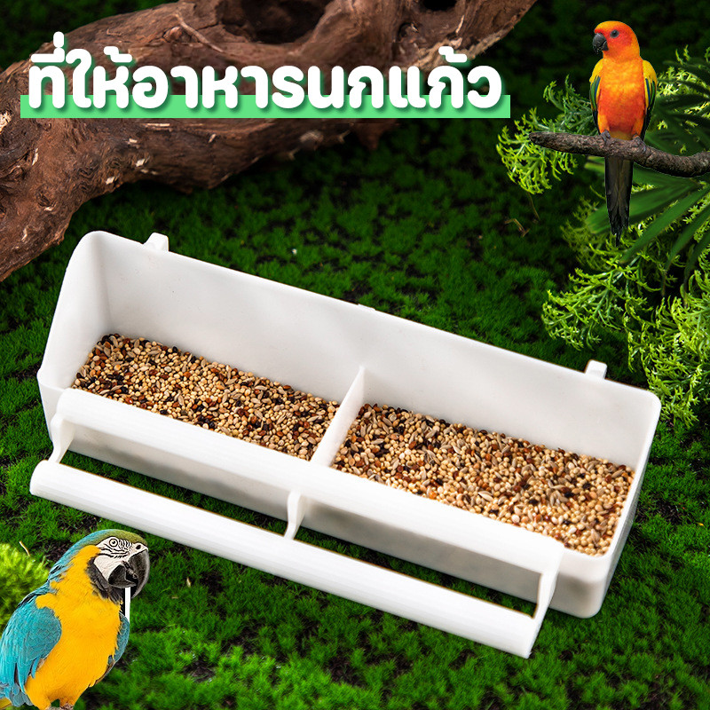 ที่ให้อาหารนกแก้ว 2in1 ถ้วยพลาสติก2ช่องใหญ่ ใส่อาหาร, น้ำ ชามอาหารนก ถ้วยอาหารนก