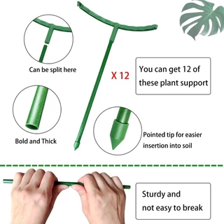 ค้ำต้นไม้ครึ่งวงกลม Plant Support Ring 12 ชิ้น สำหรับดอกไม้ กระถาง และต้นไม้ลำต้นอ่อน