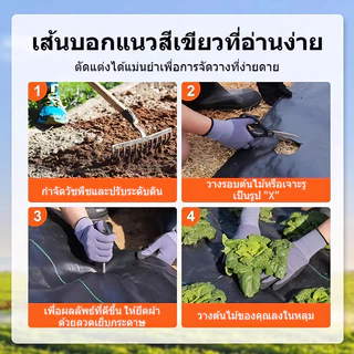พลาสติกคลุมดิน(เกรด A) ผ้าคลุมดิน พลาสติกคลุมหญ้า ฆ่าหญ้า 50 เมตร 100 เมตร คลุมวัชพืช ผ้าคลุมหญ้า กําจัดหญ้า