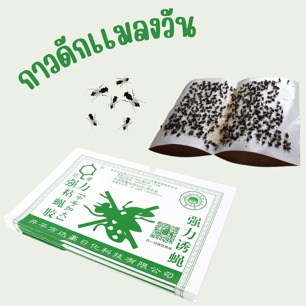แผ่นกาวติดแมลงวัน แผ่นกาวดักแมลงวัน  1  เเผ่น พร้อมส่ง
