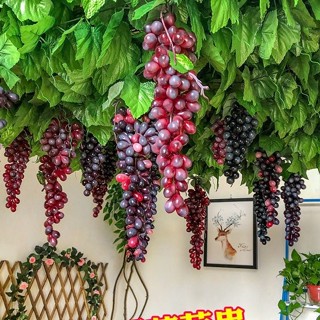 พวงองุ่นปลอม องุ่นจำลอง เหมือนจริง ใช้ตกแต่งบ้าน ตกแต่งสวน ต…