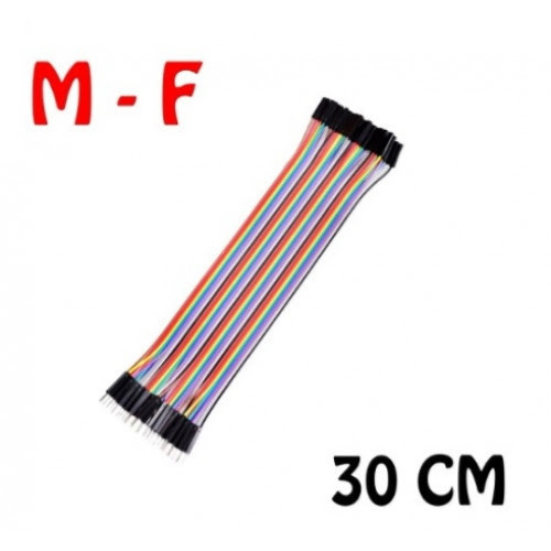 สายแพ (30cm) 40 pin to 40 pin (Female-Male) สาย (2.54mm)