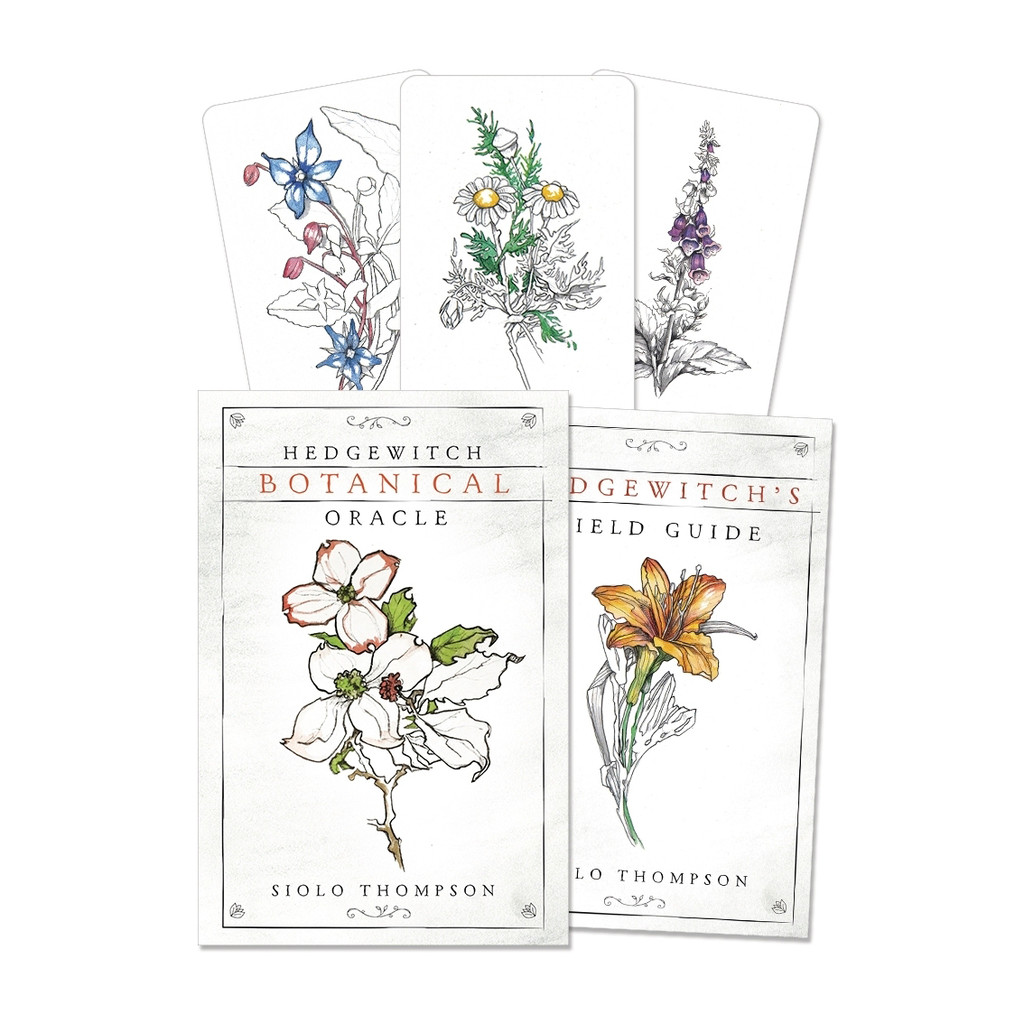 นําเข้า Hedgewitch Oracle Card Hedgewitch Botanical Oracle
