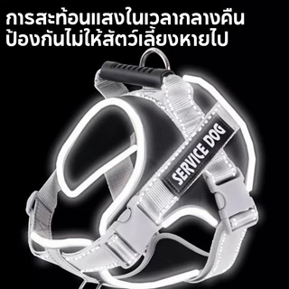 สายจูงสัตว์เลี้ยง เสื้อกั๊กสะท้อนแสง ขนาดเล็ก และกลาง ขนาดใหญ่ สามารถปรับได้ ป้องกันการหลุด