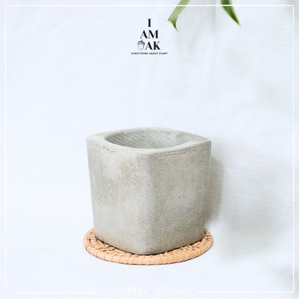 มุมมอง 2