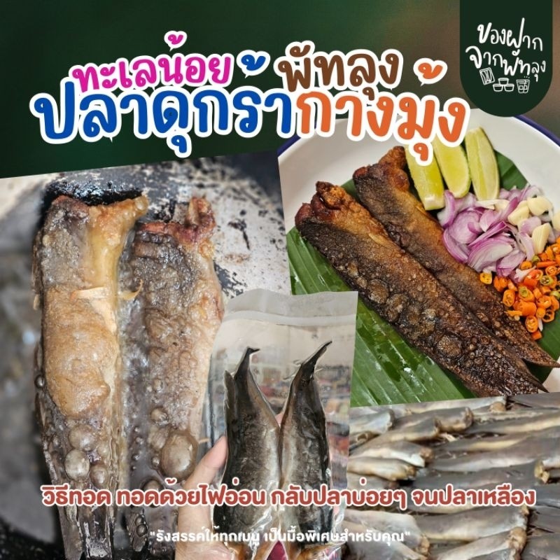 ปลาดุกร้ากางมุ้งออร์แกนิก สินค้าขึ้นชื่อทะเลน้อย แพ็ค2ตัว บรรจุแบบศูนย์ญากาศ รสชาติดี