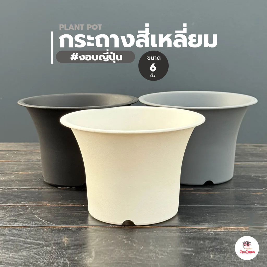 กระถางพลาสติก 6 นิ้ว #งอบญี่ปุ่น กระถางแคคตัส กระบองเพชร ไม้อวบน้ำ Cactus&Succulent