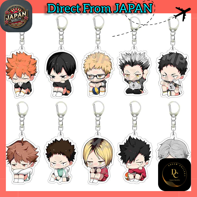 [Vipbugo] Haikyuu Keychain Set of 10 Hinata Shoyo, Kageyama Tobio, Kozume Kenma, Kuroo Tetsurou, Sug