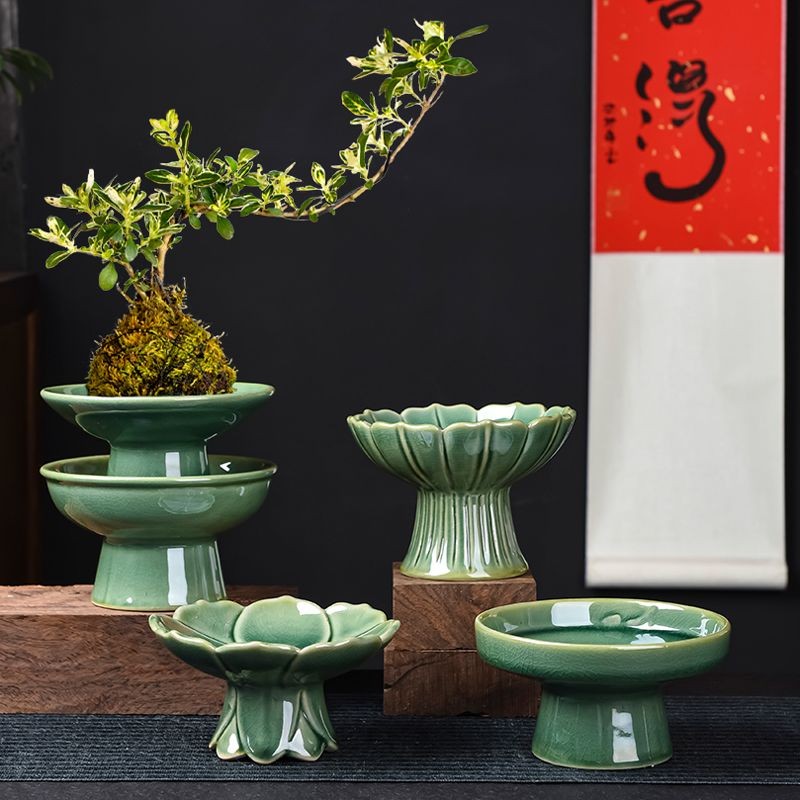 น้ําหอม Hydroponic Dendrobium ข้าวไม้ไผ่ moss ball calamus Water Chimous Water Woriground Note Note 