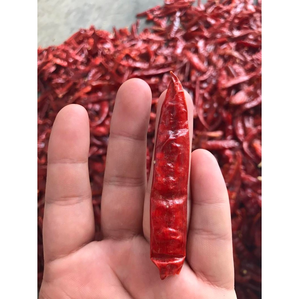 พริกแห้งแม่สาย(สนั่ม) เด็ดก้าน ขนาด 1กิโลกรัม เผ็ดกลาง+ หอม ใช้ทำพริกแกงสีสวย และอื่นๆ - รูปที่ 5