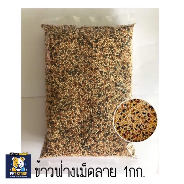 SN อาหารนกเขาเล็ก  [ข้าวฟ่างลาย]  แบ่งขาย แพ็คละ 1 kg