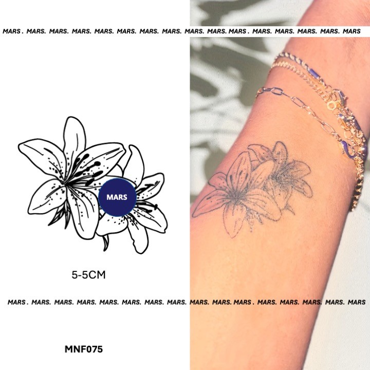 Mars Tattoo เทคโนโลยีใหม่ เมจิก ติดทนนาน 2 สัปดาห์ รอยสักกึ่งถาวร สติ๊กเกอร์รอยสักชั่วคราว สักปลอม MNF164