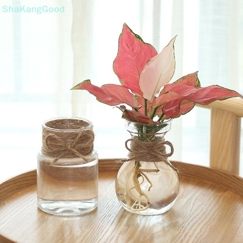SKTH โปร่งใสดอกไม้หม้อแจกัน Hydroponic คอนเทนเนอร์ Miniature ภูมิทัศน์พลาสติก Eco-ขวดตกแต่งบ้าน SKK
