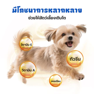 อาหารสุนัขแบบเปียก130g สูตรปราศจากเกลือและธัญพืช อาหารเปียก ขนมสุนัข ขนมสุนัขเลีย