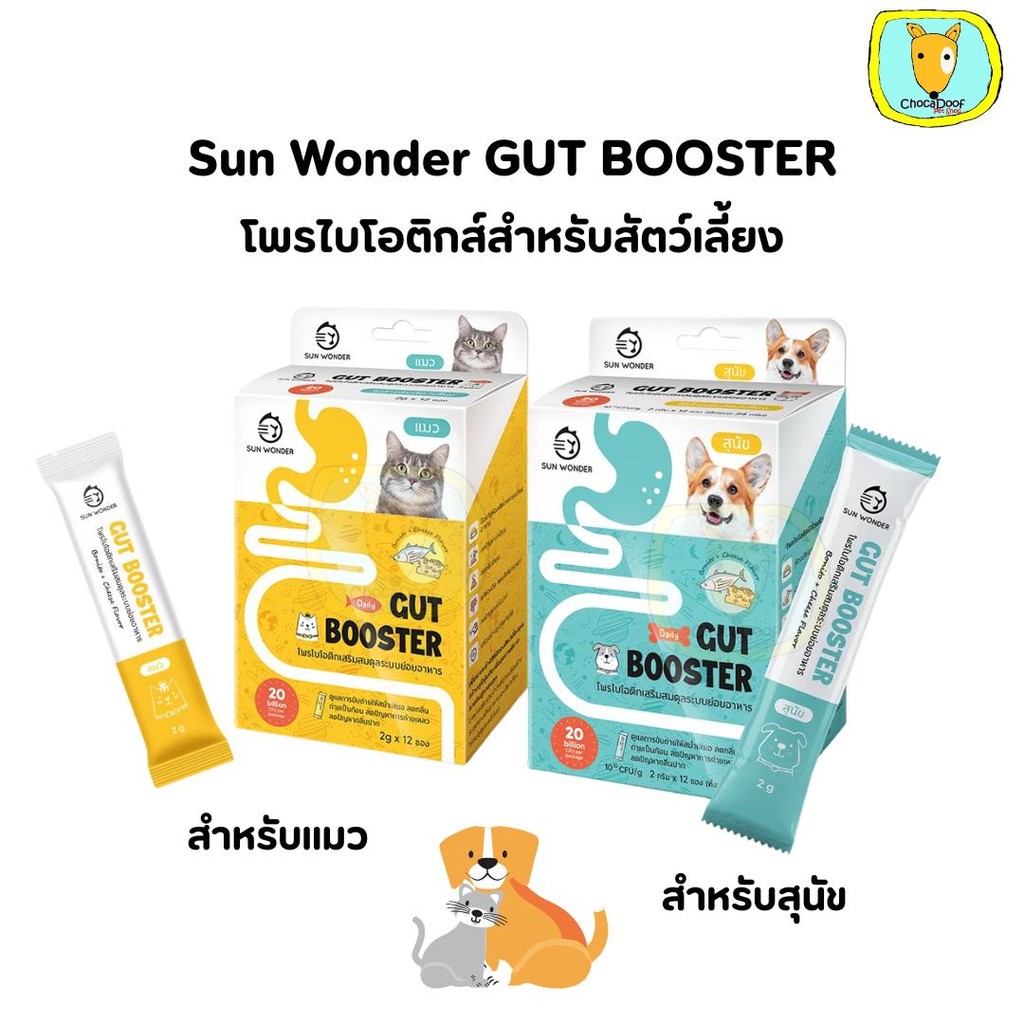 Sun Wonder Gut Booster Dog&Cat โพรไบโอติก สำหรับสุนัขและแมว