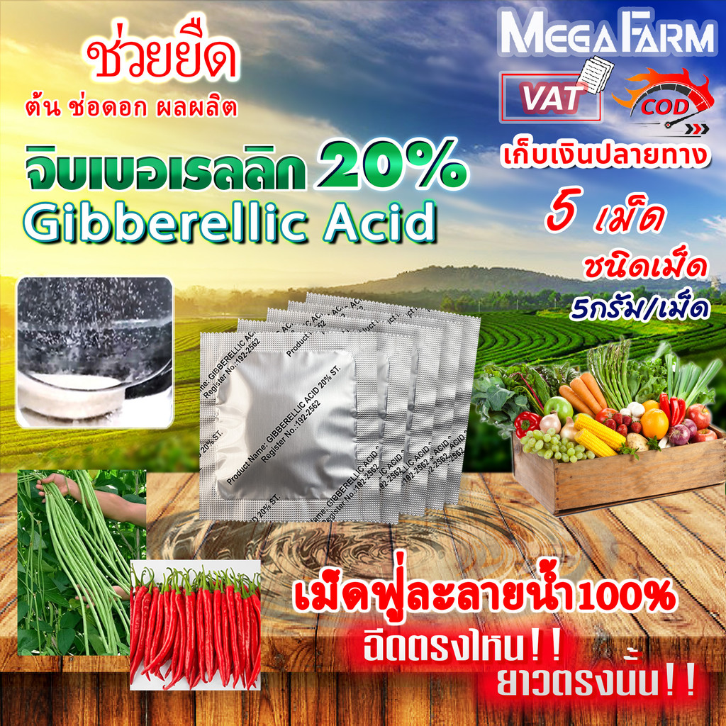 จิ๊บเม็ด จิบเบอเรลลิน Gibberellin จิบเบอเรลลิก แอซิด ชนิดเม็ด Gibberellic Acid 20% ((มีหลายตัวเลือก))