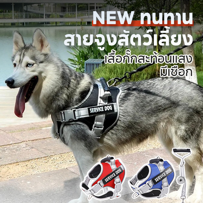 สายจูงสัตว์เลี้ยง เสื้อกั๊กสะท้อนแสง ขนาดเล็ก และกลาง ขนาดใหญ่ สามารถปรับได้  ป้องกันการหลุด