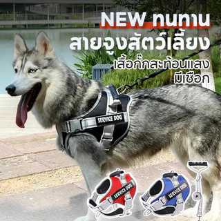 สายจูงสัตว์เลี้ยง เสื้อกั๊กสะท้อนแสง ขนาดเล็ก และกลาง ขนาดใหญ่ สามารถปรับได้ ป้องกันการหลุด