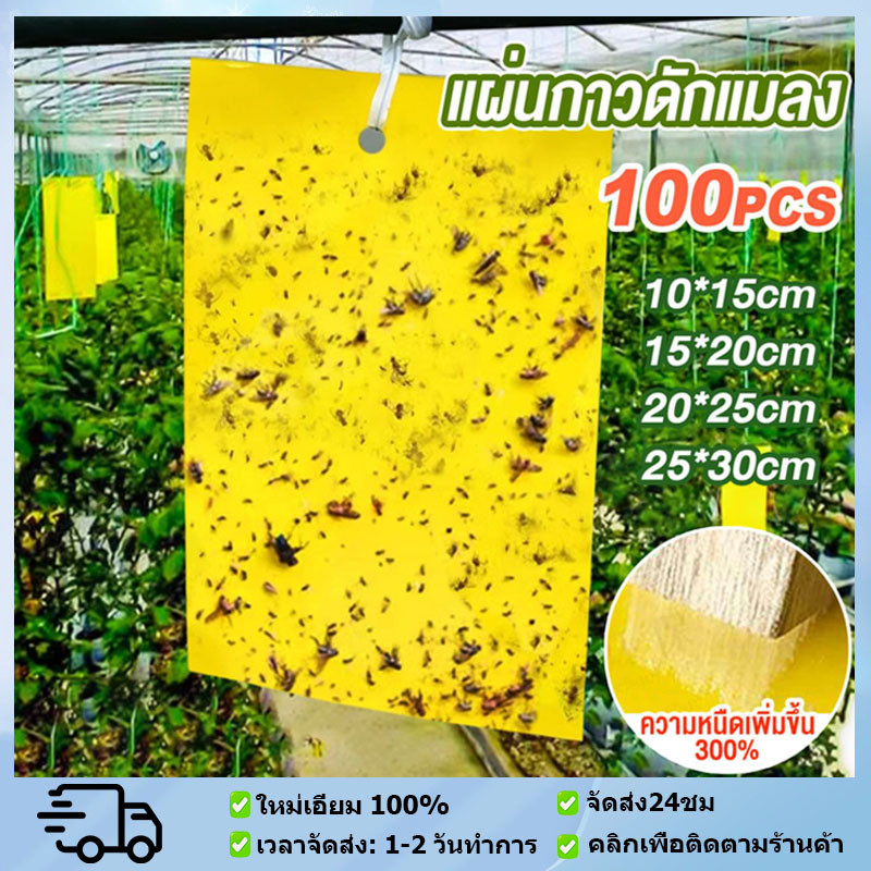 แผ่นสติกเกอร์ดักจับแมลง กาว 2 หน้า แผ่นกาวดักแมลง สําหรับกันยุง ด้าน เหนียว ทนแดด กาวดักแมลงวันทอง