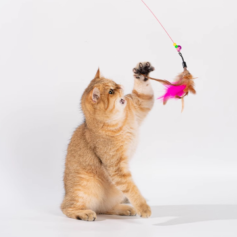 ของเล่นแมว ไม้แกล้งแมว ไม่หลุดง่าย มีกระดิ่ง เปลี่ยนขนได้ ล่อแมว ของเล่นแมว ของเล่นด้ามยาว เชือกแมว ไม้แกล้งแมว - รูปที่ 7