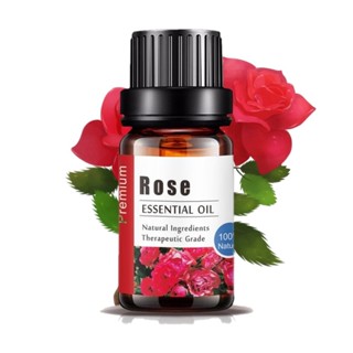Aliztar 100% Rose Essential oil 10 ml. น้ำมันหอมระเหยกุหลาบ …