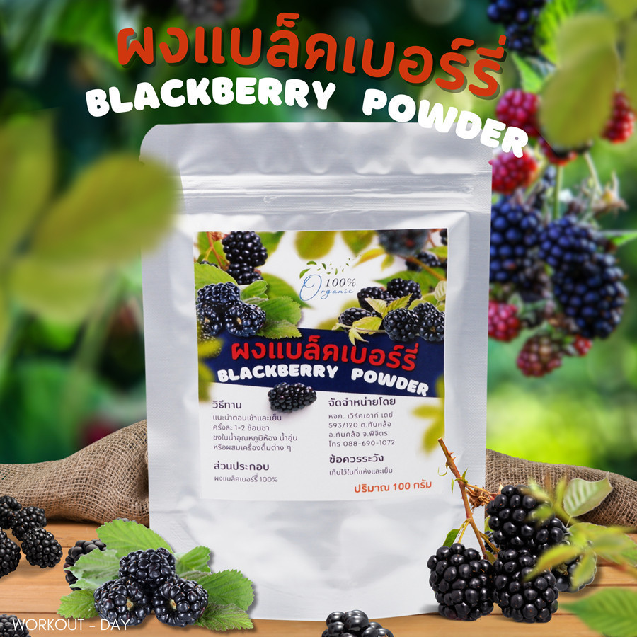 ผงแบล็กเบอร์รี่ Blackberry Powder เกรดสารสกัด ขนาด 100กรัม