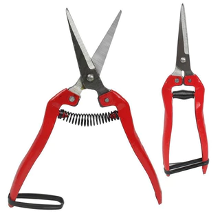 ZZ HOME01 กรรไกรตัดกิ่ง กรรไกรตัดดอกไม้ Pruning-shears-red