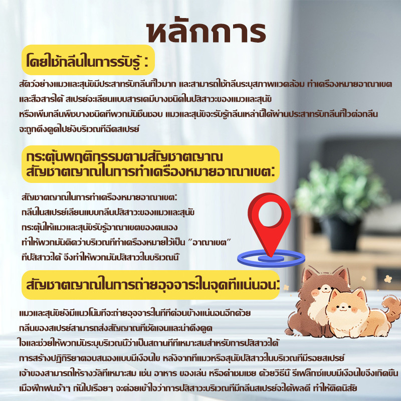 ขับถ่ายประจำที่❗❗❗ ฝึกฉี่สุนัข ฝึกแมวฉี่ ฝึกฉี่ ฝึกสุนัขฉี่ สเปรย์ฝึกสุนัขขับถ่าย  สเปรย์ฝึกการขับถ่าย ราคา ถูกที่สุด ดีลบีเคเค แกลเลอรีภาพที่ 3