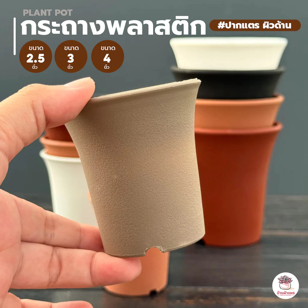 กระถางปากแตร 2.5นิ้ว - 4 นิ้ว #5 #7 #8 #ผิวด้าน กระถางพลาสติก แคคตัส กระบองเพชร ไม้อวบน้ำ Cactus&Succulent