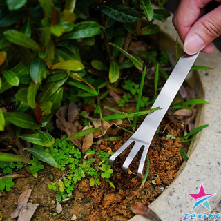 ZXF คราดน้อยสแตนเลส 20cm คราดพรวนดิน ที่สางราก อุปกรณ์ทำสวนย่อม Stainless Steel Rake