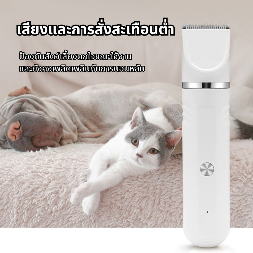 รูปภาพ 6