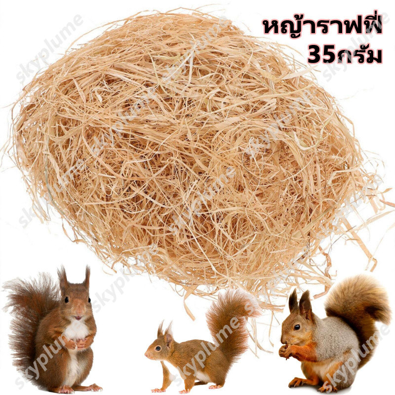 หญ้าราฟฟี่ ออแกนนิก รังนอน กระรอก หนู หญ้าราฟฟี่ออแกนนิก หญ้าทำรัง รังกระรอก ที่นอนชูการ์ไกรเดอร์