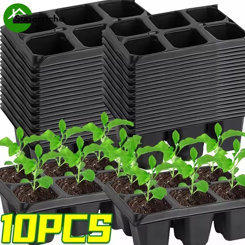 [H&L]ถาดเริ่มต้นเมล็ดพันธุ์ 6/12 หลุม กระถางเพาะชําแบบใช้ซ้ําได้พร้อมรูลม, กล่องปลูกพืช PET สําหรับทําสวนเรือนกระจก, การงอกของผักและดอกไม้ 3/5/10 ชิ้น
