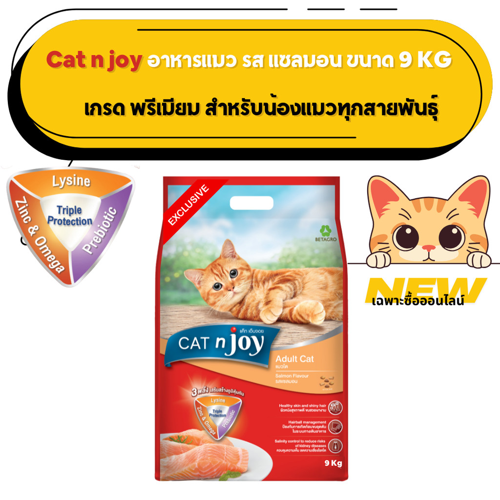 CAT n joy TPP แมวโต รสแซลมอน 9 kg