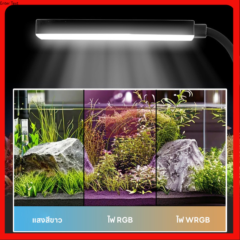 รูปภาพ 8