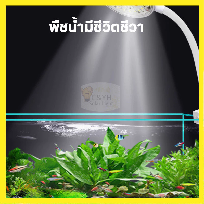 TH จัดส่งจากไทย โคมไฟตู้ปลา LED USB แคลมป์ไฟตู้ปลา ไฟตู้ปลา พิพิธภัณฑ์สัตว์น้ำ ไฟ Aquarium Light thumbnail 3