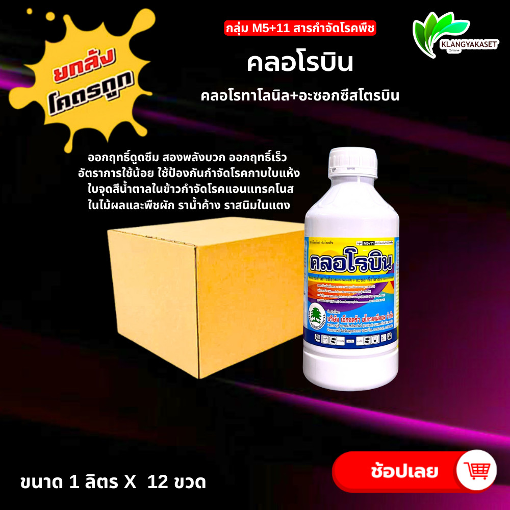 ยกลัง 12 ขวด คลอโรบิน ขนาด 1 ลิตร คลอโรทาโลนิล +อะซอกซีสโตรบิน  เรดโรบิน   ป้องกันกำจัดเชื้อราออกฤทธิ์ทั้ง สัมผัส และดูด